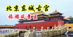 女人凸轮毛茸茸中国北京-东城古宫旅游风景区